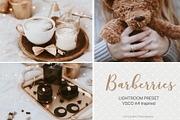Desktop Lightroom Presets BARBERRY, an Action Add-On by Victoria Bee Presets (Thumbnail 14 of 14)