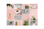 Pink & Botanical Stock Photo Bundle, an Abstract Photo by Moyo Studio (Thumbnail 2 of 10)