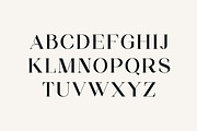 Aglycones Elegant Serif Display Font, a Serif Font by UICreative (Thumbnail 4 of 13)