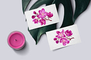 4 Apple Tree Flower Branches, an Illustration by MarynaPetrovska (Thumbnail 8 of 14)