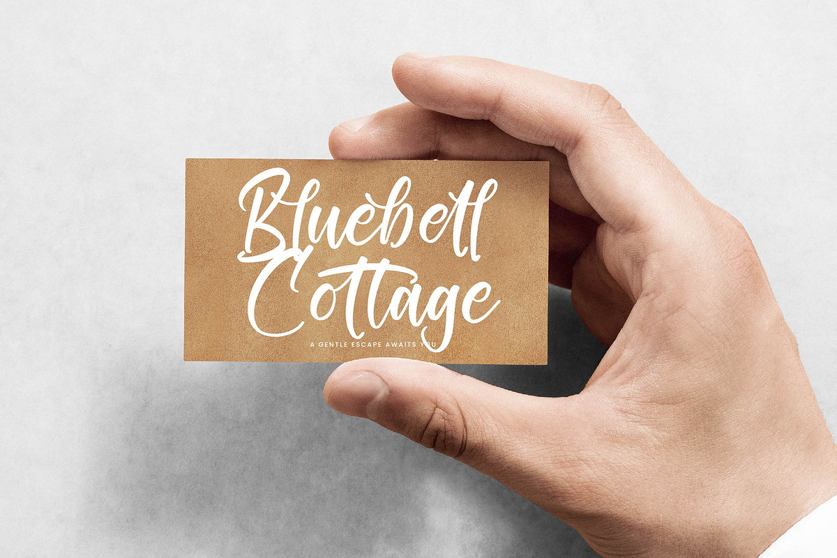 Tropical Splash Modern Handwritten, a Script Font by stylishtype.co (Photo 2 of 20)