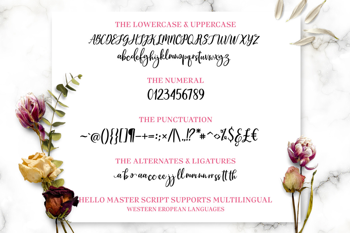 Hello Master FONT DUO with Doodle, a Script Font by Alpha Bento (Photo 7 of 8)