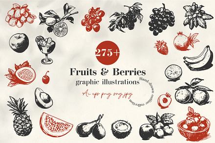 275+ Fruits & Berries Illustrations, a Food Illustration by La Petite Line Art