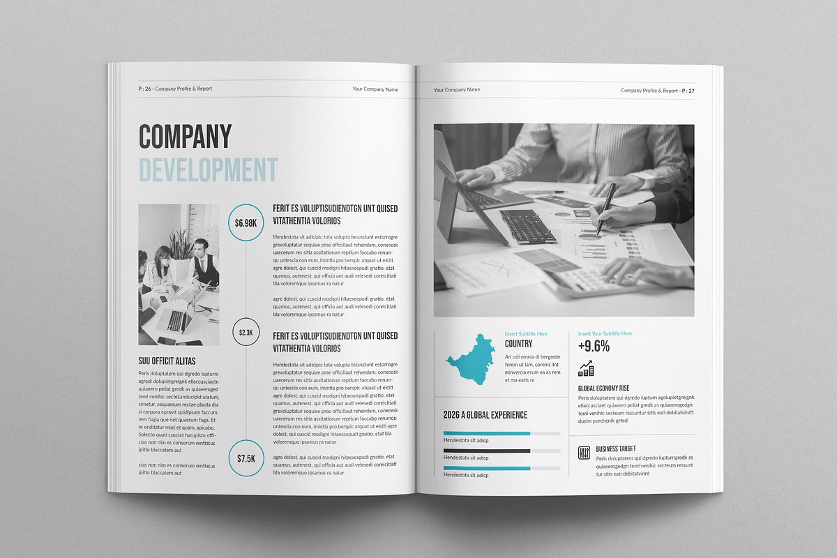 Company Profile & Report Template, a Brochure Template by E-Type (Photo 10 of 13)