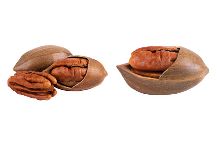 broken pecan nut isolated on white, a Food & Drink Photo by NataPhoto
