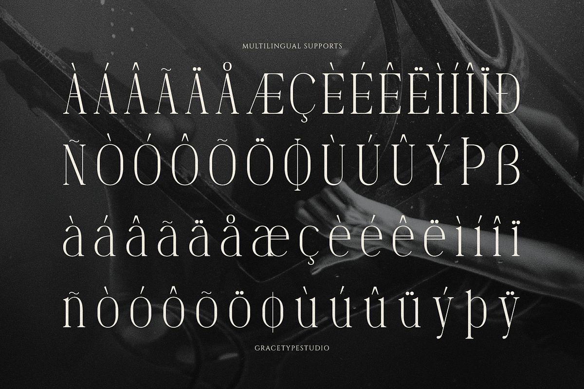 Dennya | Display Serif Font, a Serif Font by gracetype_studio (Photo 11 of 12)
