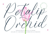 Petalip Orchid Modern Freestyle, a Script Font by Letterena Studios Script (Thumbnail 1 of 15)