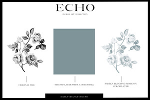 Echo Modern Botanicals Collection