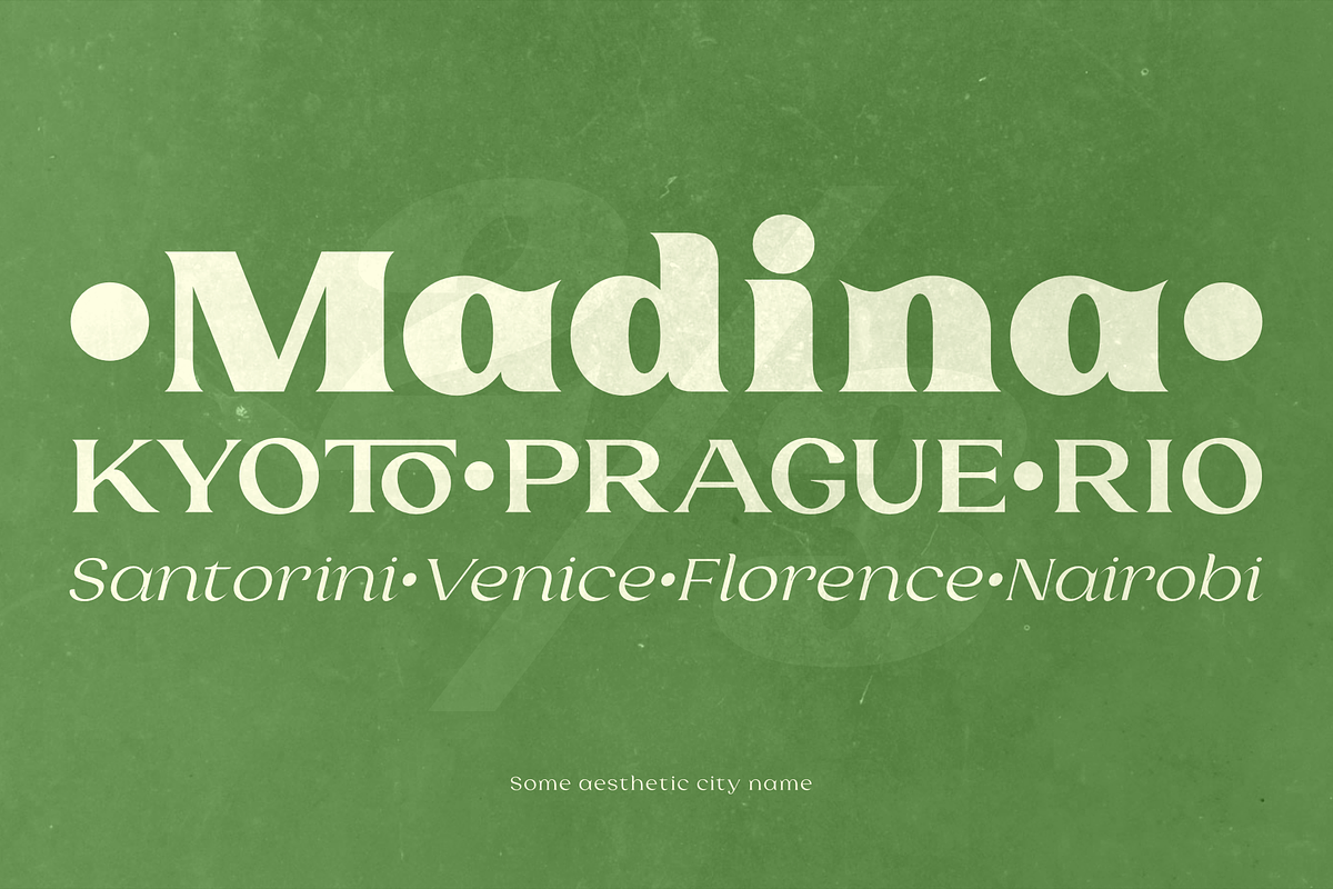 Laviossa Nova - Completed Family, a Serif Font by Jehoo Creative (Photo 4 of 12)