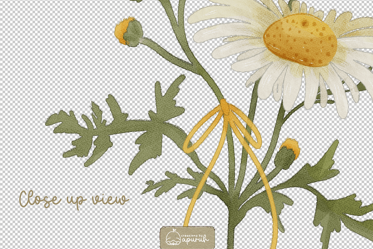 Flower Birth Month Watercolor, a Decorative Illustration by creationsbyapuruh (Photo 4 of 7)
