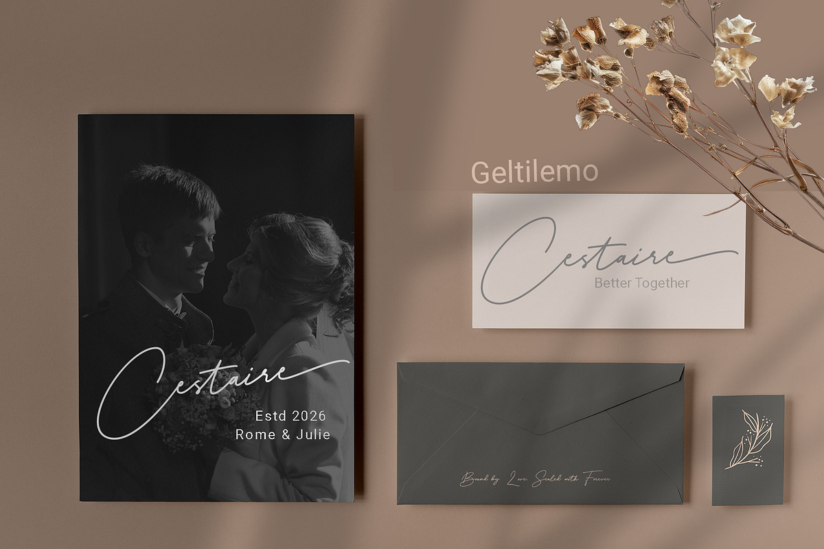 Delyra Script - Modern Signature, a Script Font by RHD Creative Studio (Photo 3 of 12)