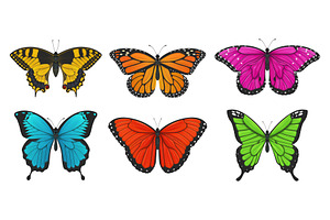 Set Of Colorful Butterflies.