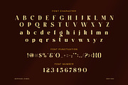 Lovika Elegant Fashion Serif Font, a Serif Font by Graphicxell (Thumbnail 7 of 8)