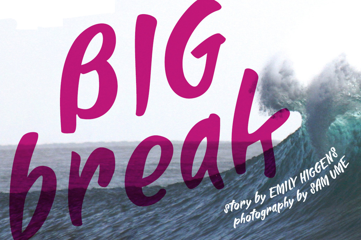 Alinka Brush Font preview 4