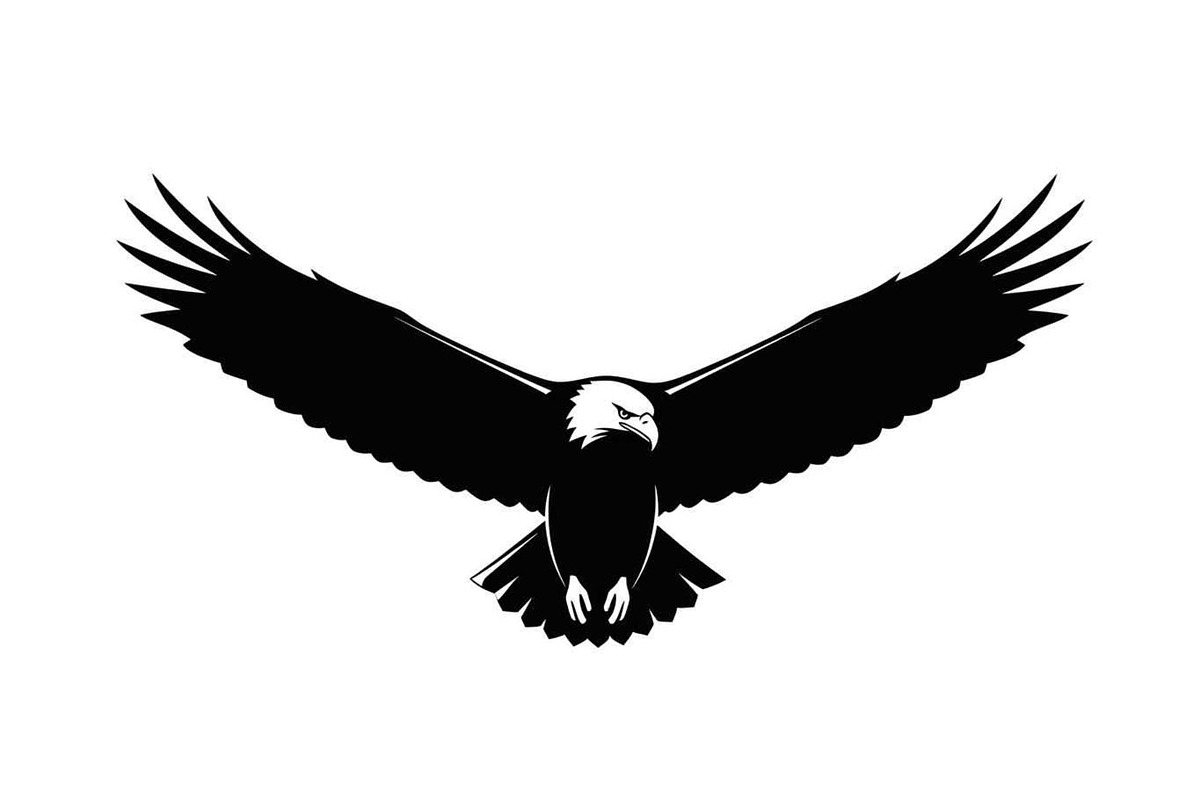 50 Flying Eagle Silhouette Vector Bu, an Illustration by Designs_River (Photo 6 of 51)