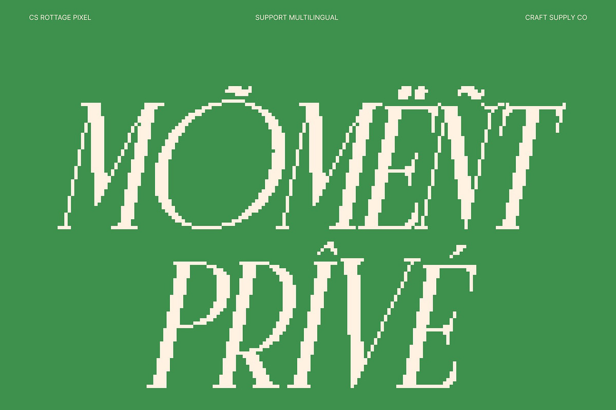 CS Rottage Pixel, a Serif Font by Craft Supply Co. (Photo 5 of 8)
