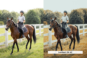 20 Equestrian Lightroom Presets LUTs