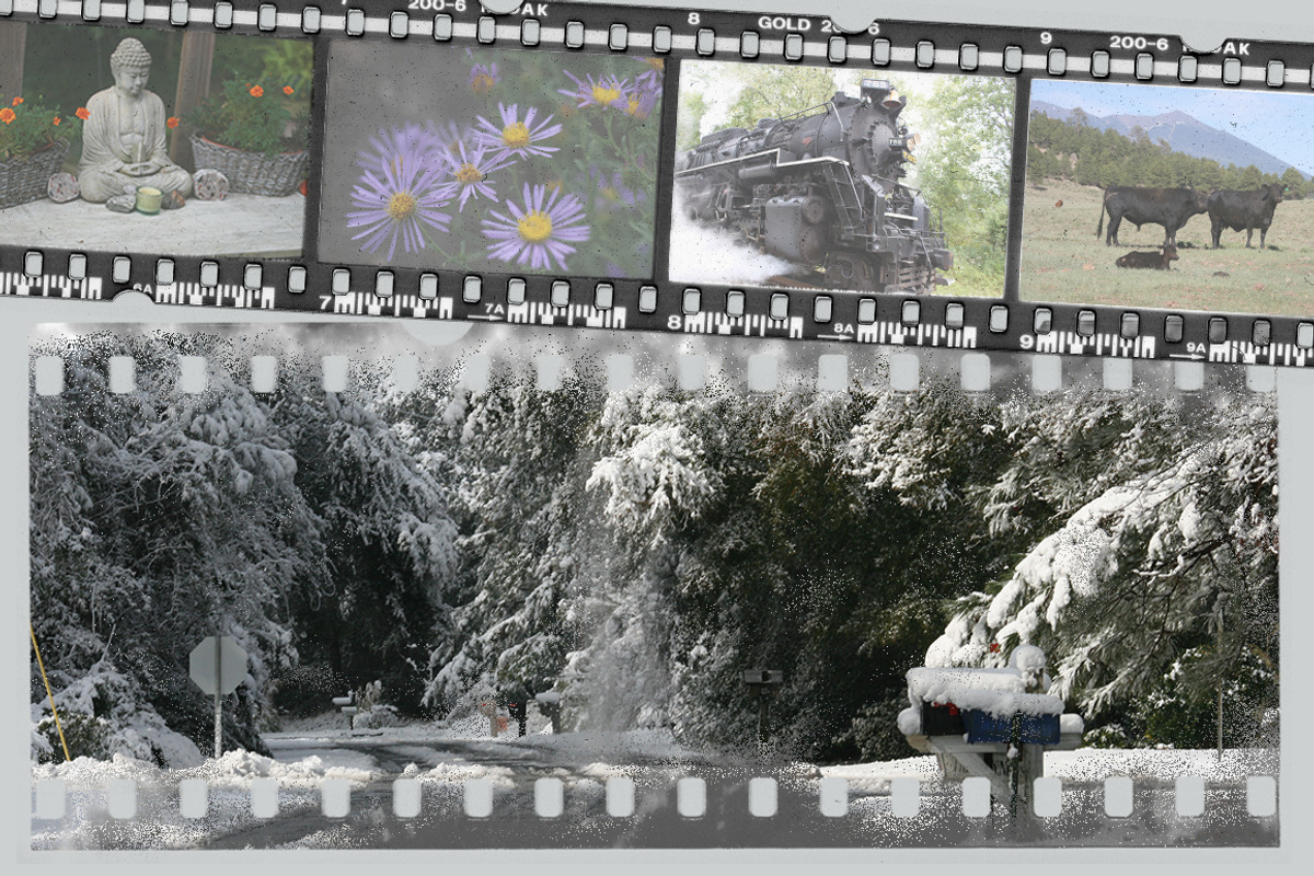 Film Textures, a Texture Graphic by Blue Line Design (Photo 3 of 10)