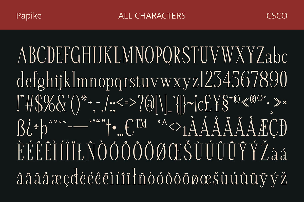 Papike – Modern Serif, a Serif Font by Craft Supply Co. (Photo 8 of 8)