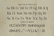 Allegiance - Unique Alternate Font, a Serif Font by Sohel Studio (Thumbnail 9 of 11)