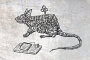 Steampunk illustrations 3. Animals, a Graphic by Steshnikova (Thumbnail 4 of 7)