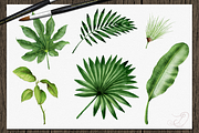 Tropical Big Pack Watercolor Clip, a Decorative Illustration by DioFlow (Thumbnail 7 of 26)