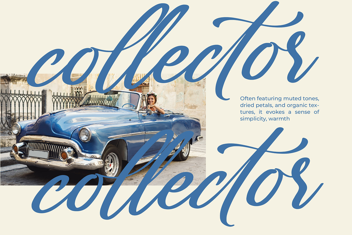 Gartenya Calligraph Modern Font, a Script Font by Letterena Studios Script (Photo 12 of 19)