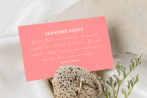 Seantero Modern Script Font