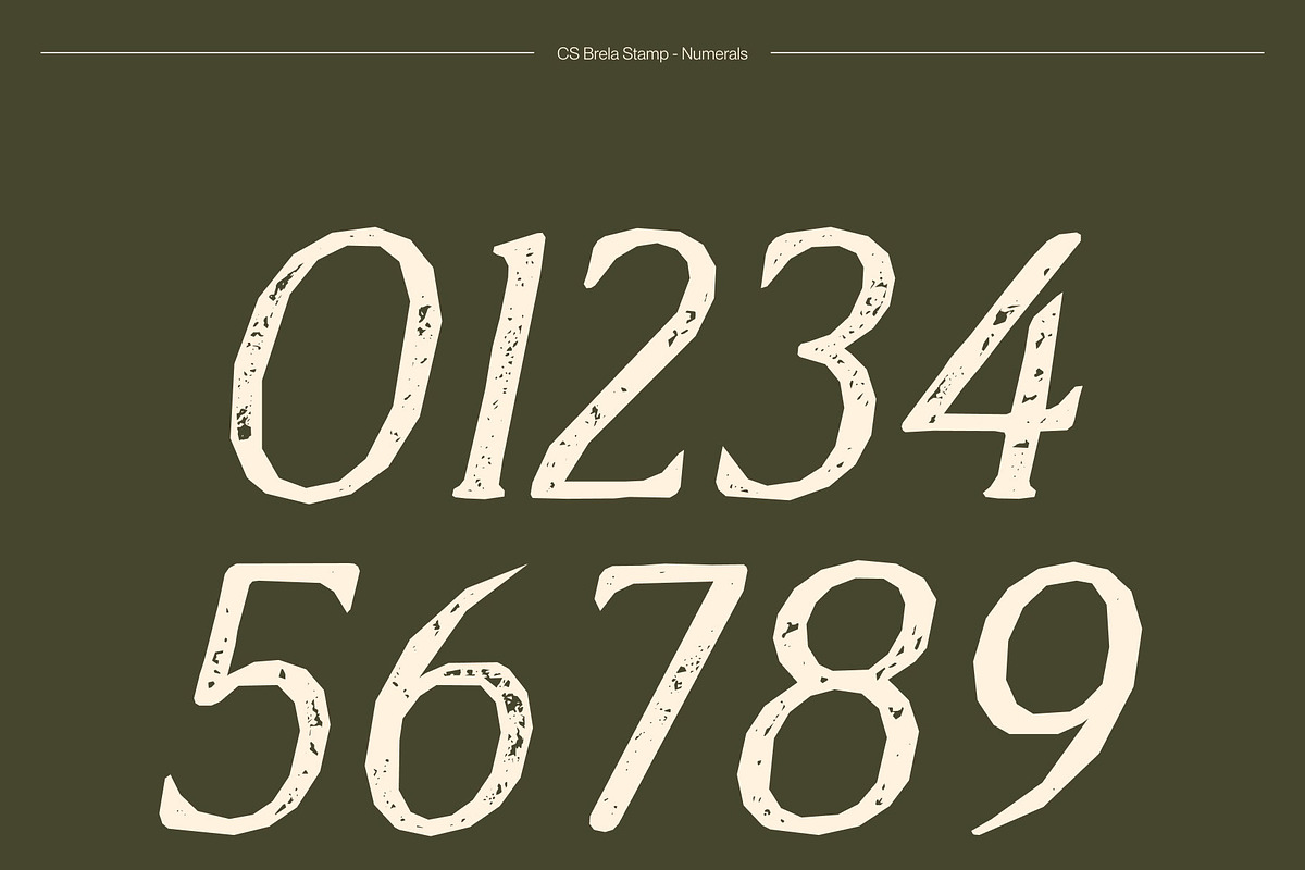 CS Brela Stamp, a Serif Font by Craft Supply Co. (Photo 6 of 8)