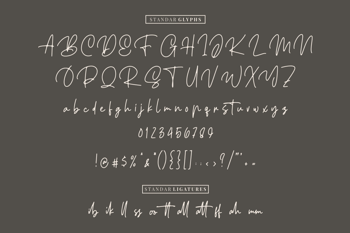 Ellouise - Handwriting Font preview 8