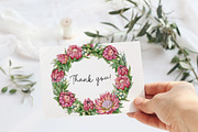 Watercolor protea flower set, an Illustration by Artmanata (Thumbnail 18 of 18)