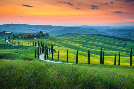 Typical curved road in Tuscany, a Nature Photo by Alpine Dreams