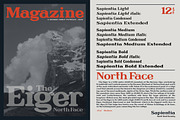 Sapientia - Serif Font Family, a Serif Font by Artistic & Unique (Thumbnail 8 of 12)