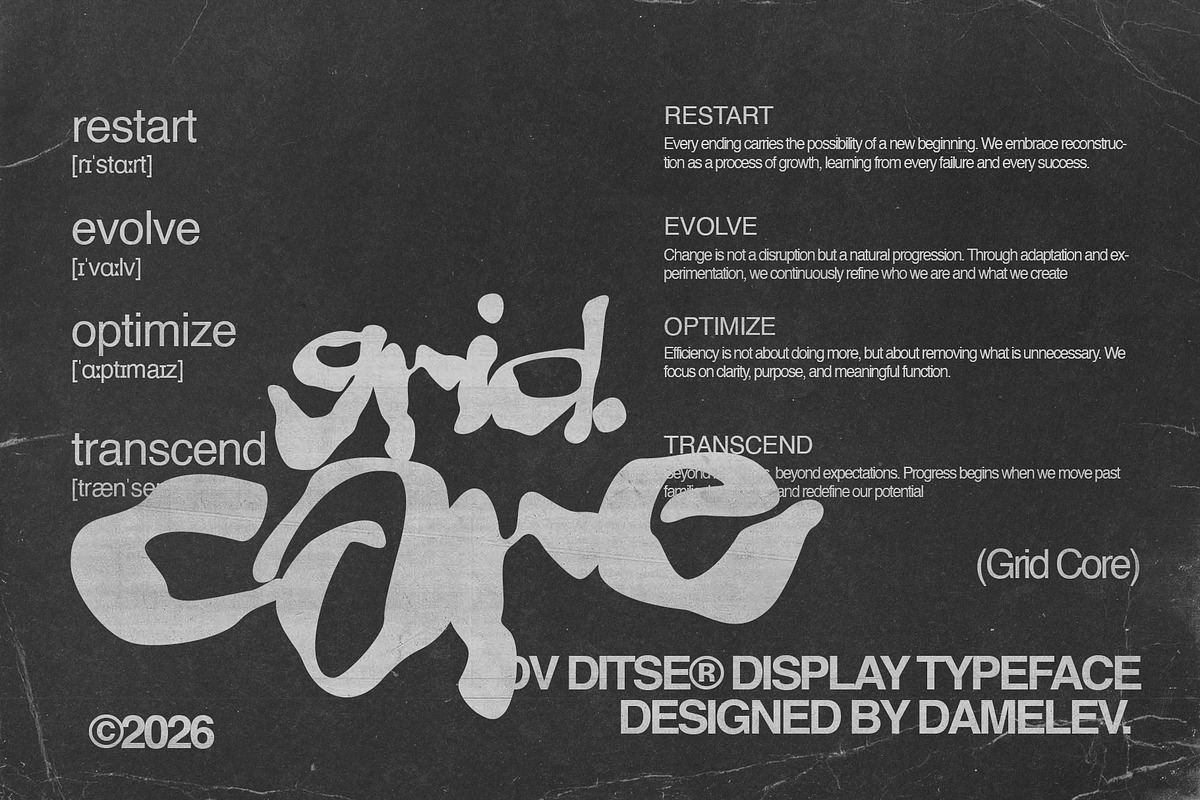 DV Ditse, a Handwritten Font by Damelev (Photo 3 of 10)
