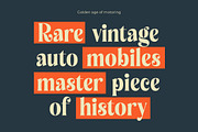 Royalti Cindles Elegant Serif, a Serif Font by timelesstype.co (Thumbnail 4 of 14)