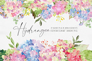 Watercolor flower - Hydrangea, an Illustration by Beigetime (Thumbnail 1 of 9)