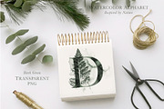 Herbarium: Design Set, a Graphic by Lumitar (Thumbnail 2 of 14)