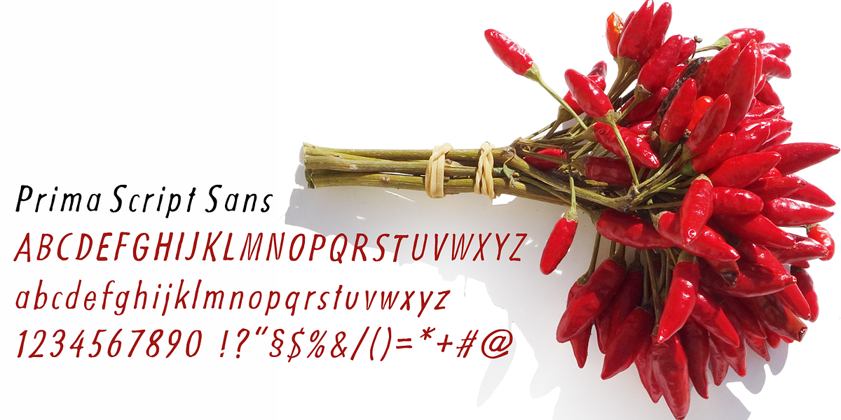 Prima Script, a Script Font by Wiescher-Design (Photo 10 of 10)