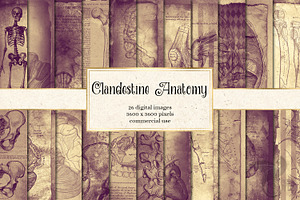 Clandestine Anatomy Textures