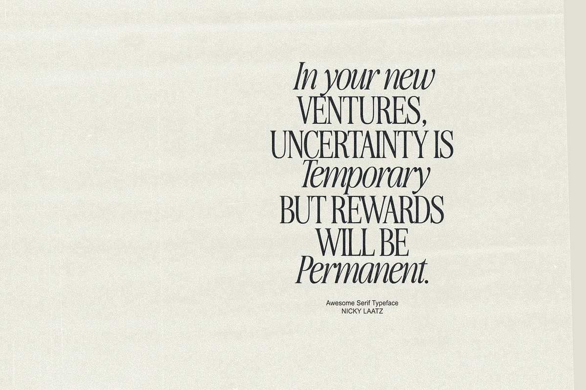 The Awesome Serif Family (32 Fonts), a Serif Font by Nicky Laatz (Photo 5 of 42)