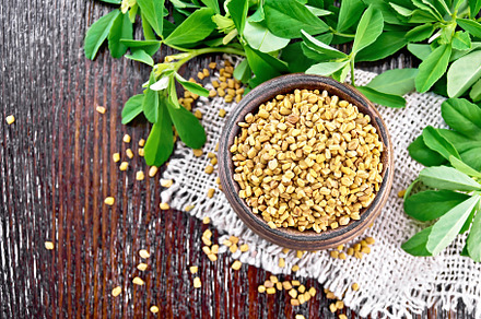 Fenugreek in bowl with leaves, a Food & Drink Photo by rezkrr
