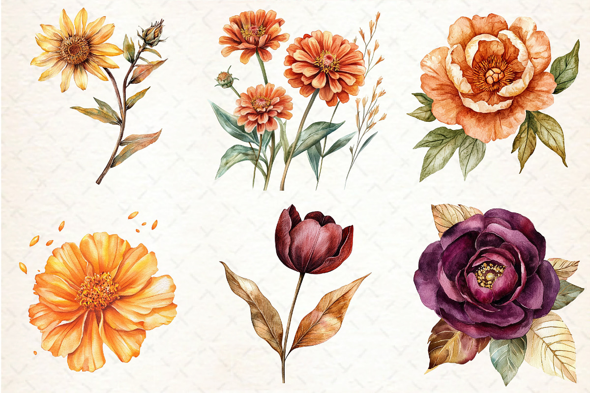 Watercolor Fall Flower Clipart, an Illustration by Libby Wishes (Photo 3 of 7)