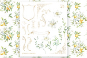 Lemon Lily Wedding Watercolor Bundle, a Decorative Illustration by WonderWonder (Thumbnail 9 of 13)