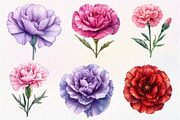 Watercolor Carnation Flower Clipart, an Illustration by Dream Creation (Thumbnail 5 of 6)