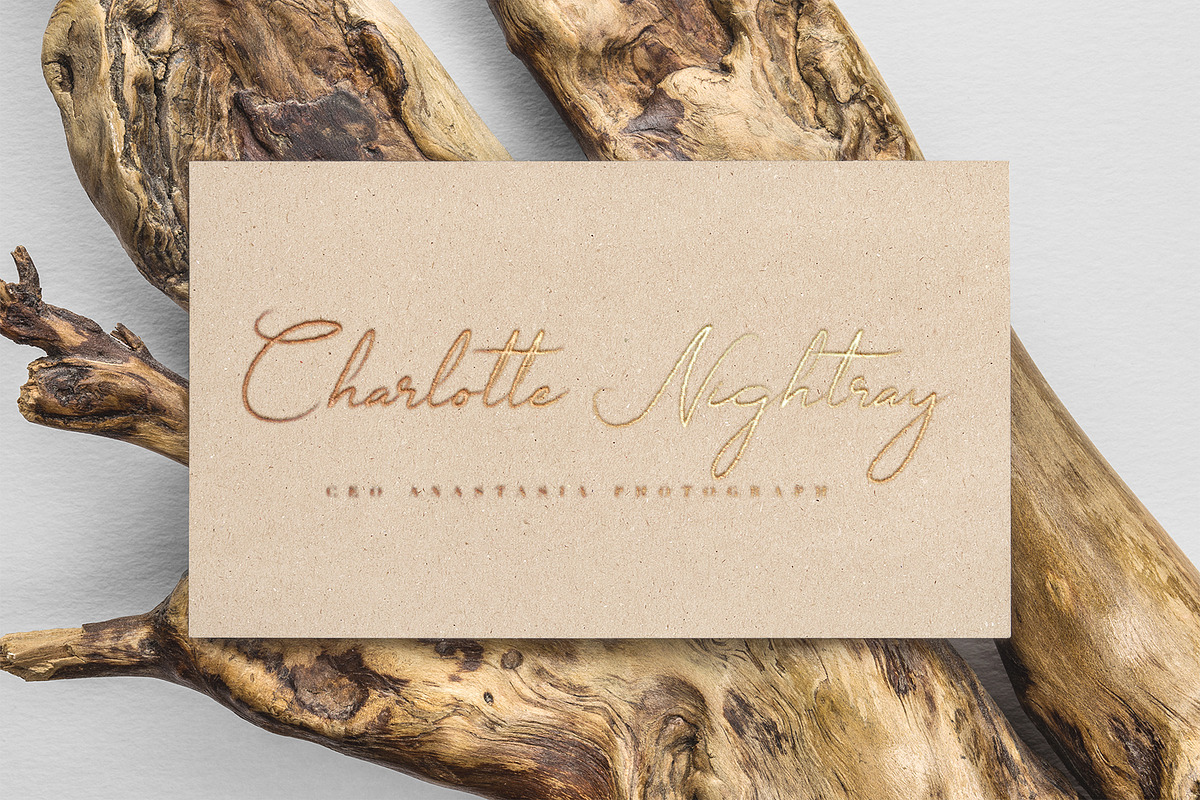 Boudelaire Script, a Script Font by Chocotype Std (Photo 11 of 11)