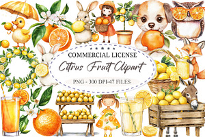 Citrus Fruit Clipart, an Illustration by designcity5