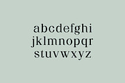Forestyland Retro Serif Family Font, a Serif Font by UICreative (Thumbnail 4 of 13)
