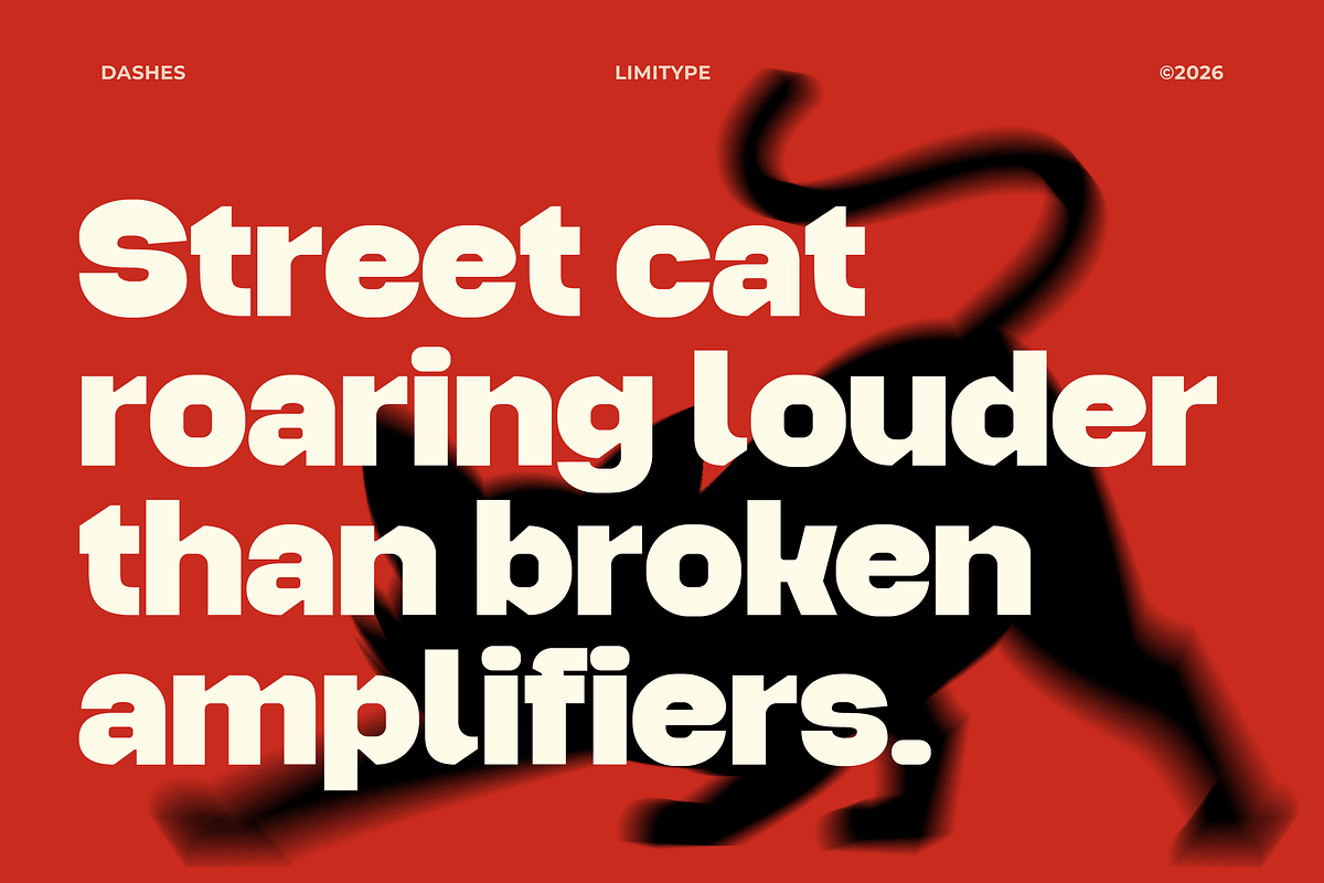 Dashes - Bold Font, a Sans Serif Font by limitype (Photo 2 of 12)