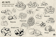 Nuts Line Art + Procreate, a Food Illustration by Skliarova (Thumbnail 2 of 3)