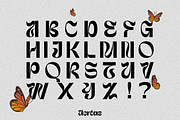 Uertas, a Sans Serif Font by Sign Studio (Thumbnail 9 of 11)